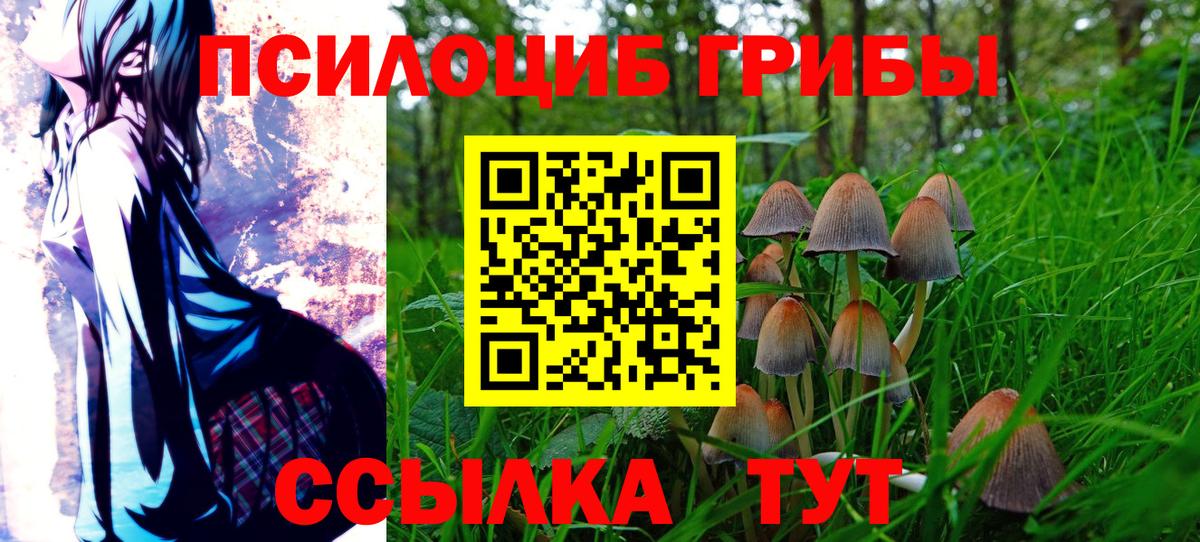 Галлюциногенные грибы Magic Shrooms Гусь-Хрустальный