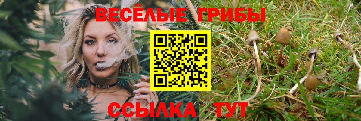 Псилоцибиновые грибы прущие грибы  Вход с VPN  Гусь-Хрустальный 